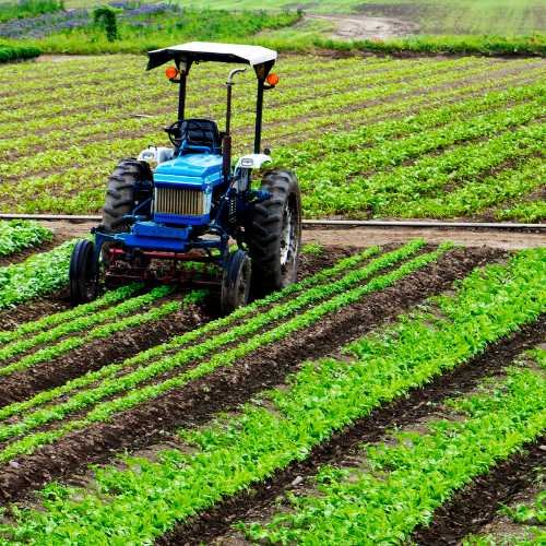 Agriculture